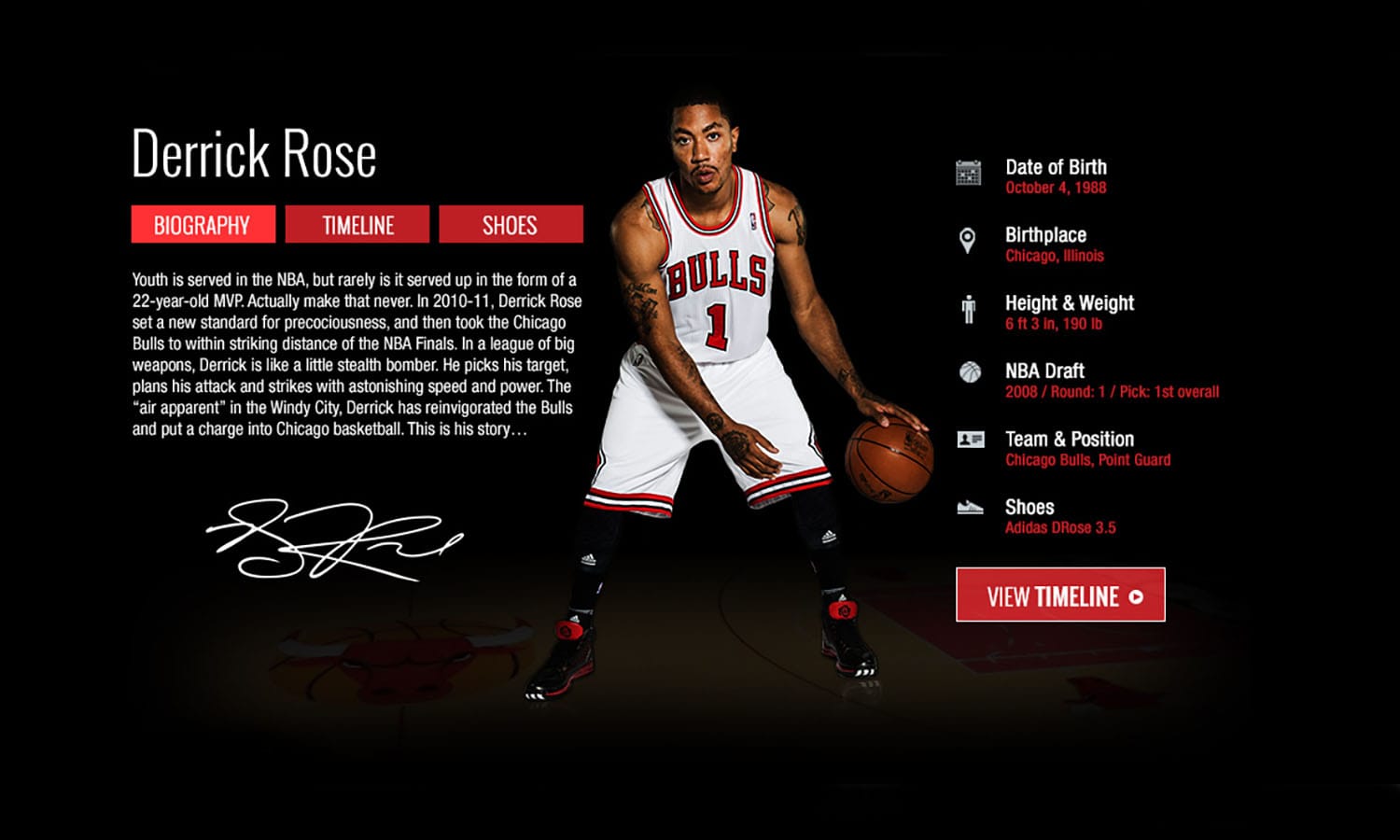 Derrick Rose PJ Interactive