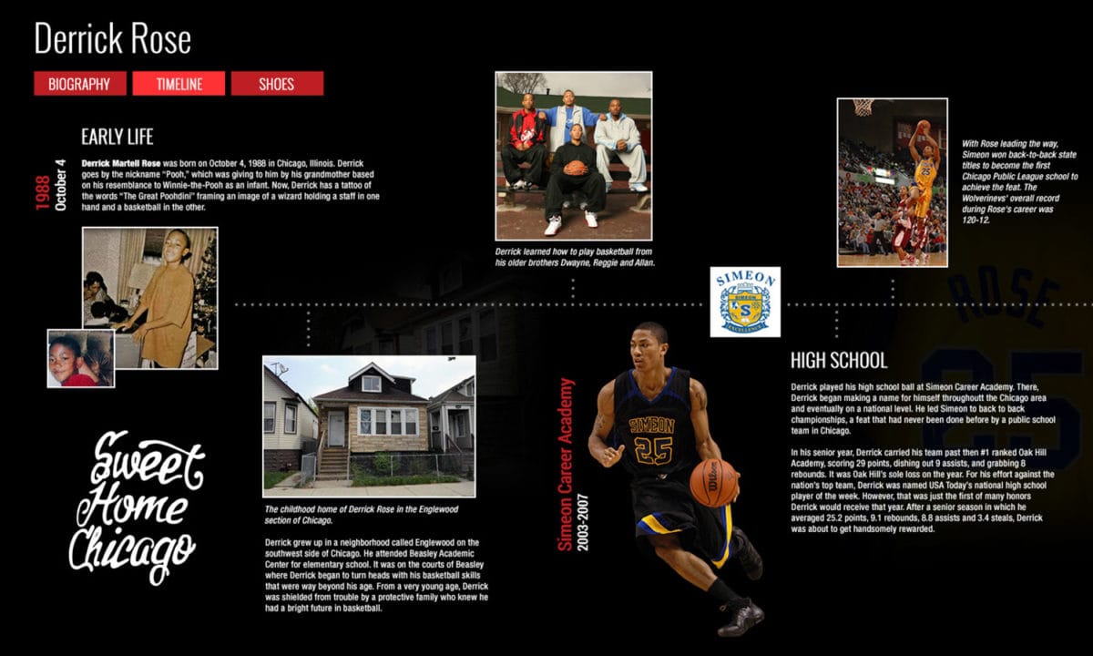 Derrick rose outlet elementary school