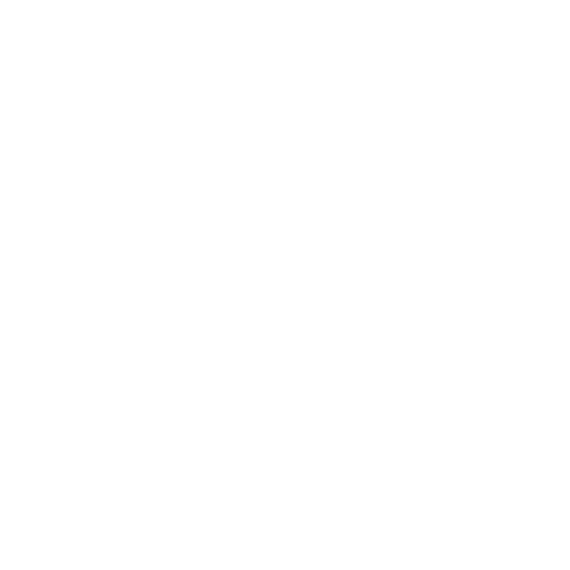 ortho Image